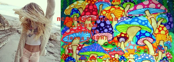 ешки Михайловка