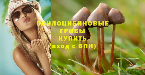 ешки Михайловка