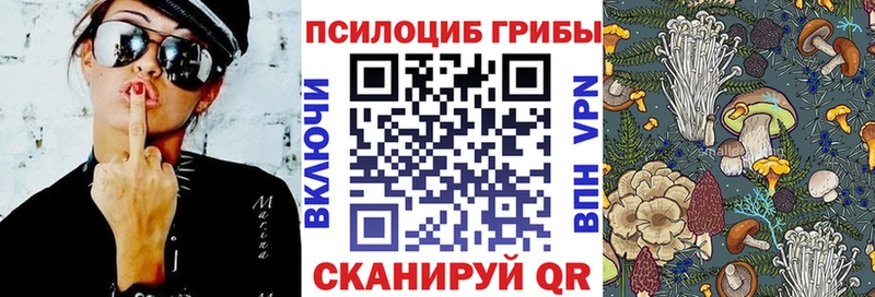 Галлюциногенные грибы прущие грибы Пионерский