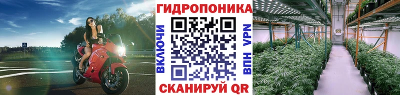 Бошки Шишки OG Kush Пионерский